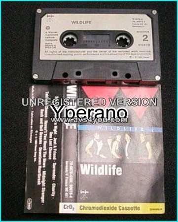 WILDLIFE: s.t [TAPE] FM (Overland brothers) + Bad Company members. Killer A.O.R.