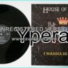 HOUSE OF LORDS: I Wanna be loved 12" Check video