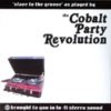 The COBALT PARTY REVOLUTION: Slave to the Groove CD James Brown Beastie Boys Dr. Dre 17 songs Check SAMPLES