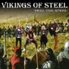 VIKINGS OF STEEL: Feel the Steel CD. RARE. Epic Heavy Metal. s
