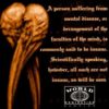 World Domination Sampler PROMO CD. 12 songs, 1 with Belinda Carlisle guesting! Grunge / alternative Rock. Check videos
