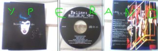 FELINE: Sun In My Eyes (remix) CD DJ Promo. Signed Autographed single. A la Hole, The Primitives. Check videos