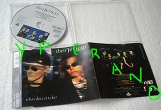 THEN JERICO: What does it take CD Belinda Carlisle on back vocals! Check video