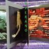 STEREOSKOP: Malevich CD. AMAZING Electro-dark goth rock. Check videos