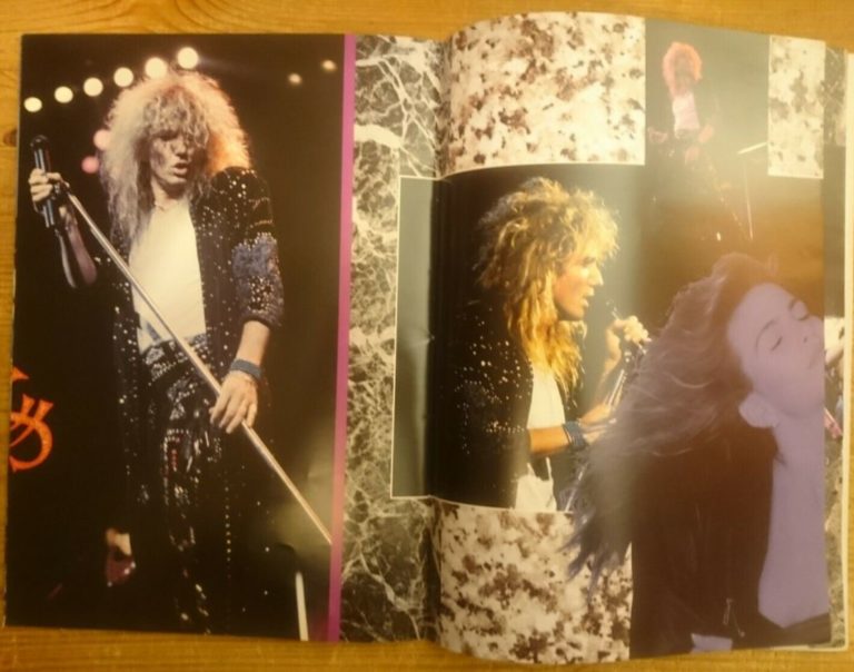 whitesnake tour 1987